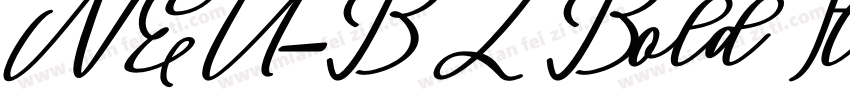 NEU-BZ Bold Italic字体转换